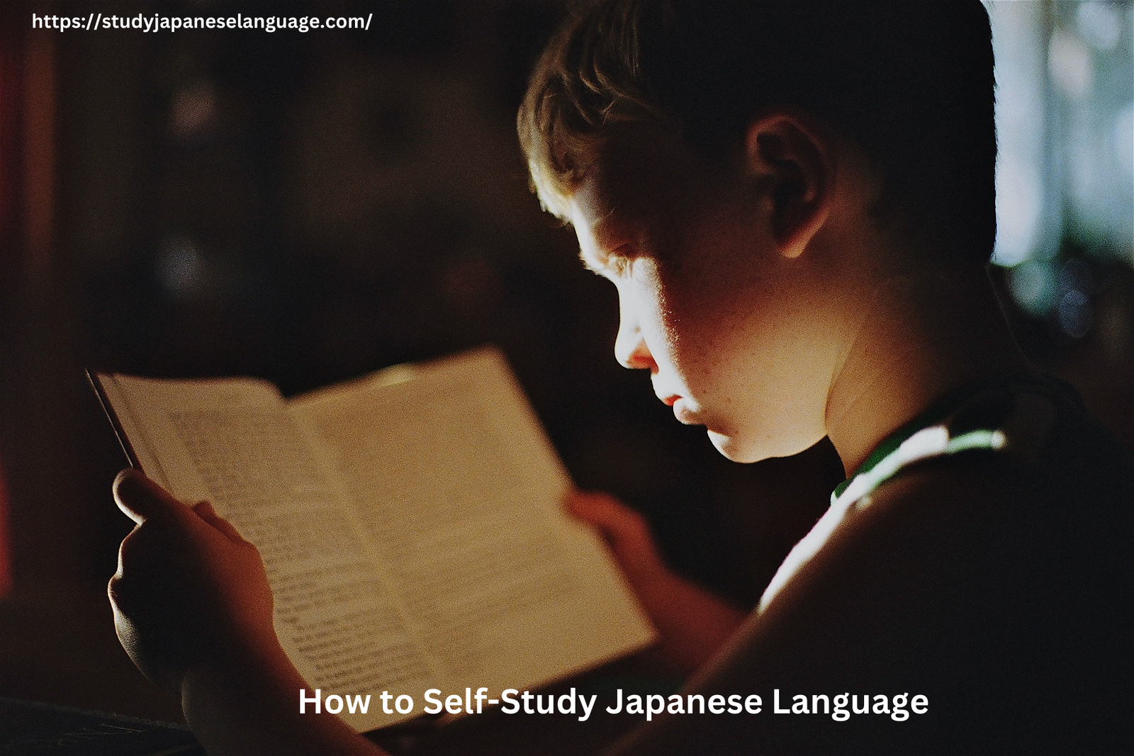 https://studyjapaneselanguage.com/